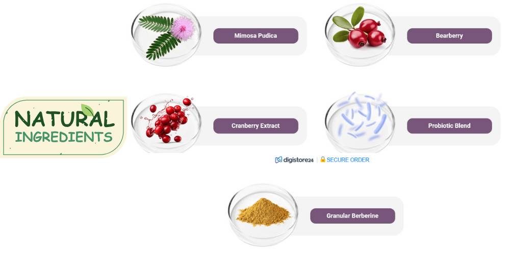 Ingredients of FemiPro