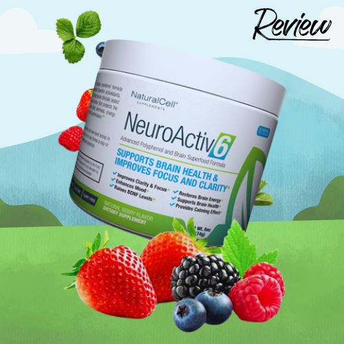 NeuroActiv6 Review