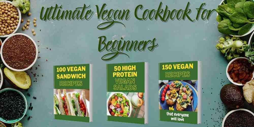 300 Vegan Recipe Cookbook