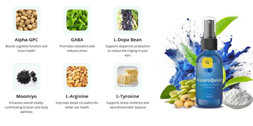 NeuroQueit Ingredients