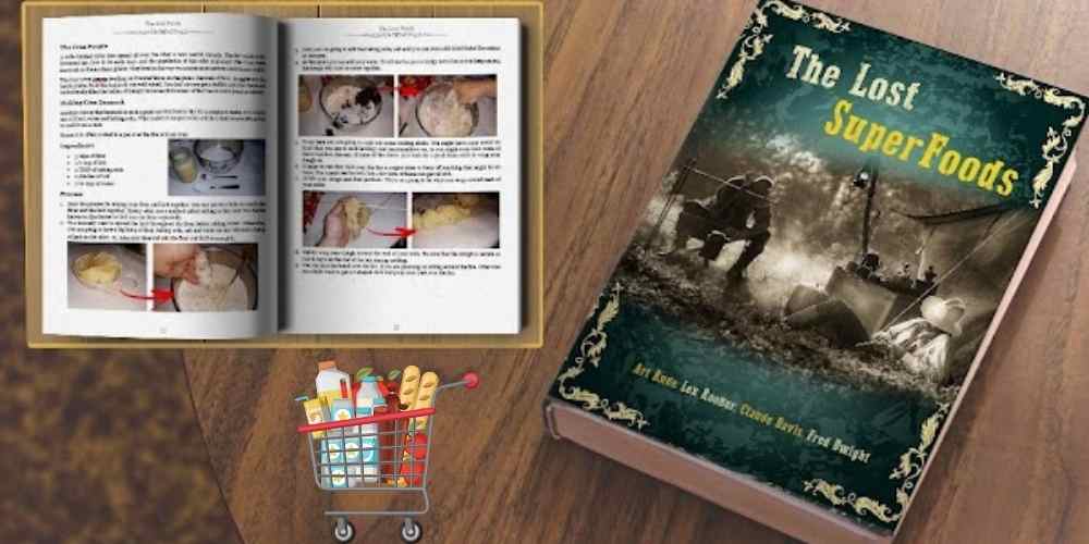 The Lost SuperFoods Book