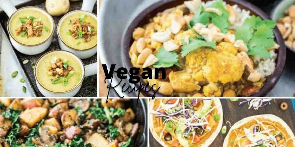 Delicious vegan snacks, sandwiches, and comfort food