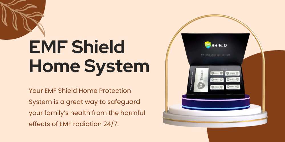 EMF Shield Home System