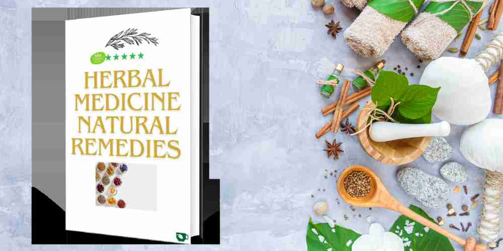 Herbal Medicine E-Book