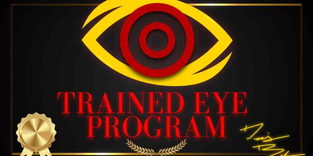 The Trained Eye Program