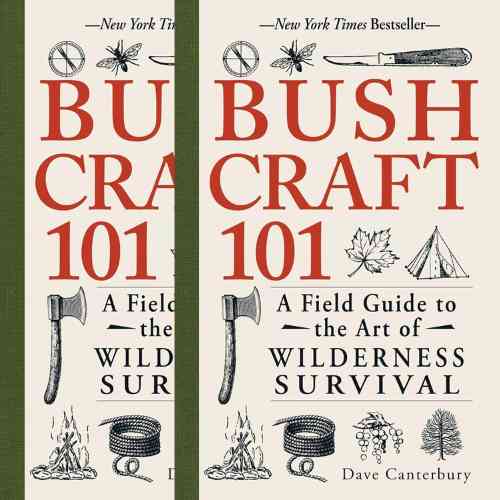 Bushcraft 101