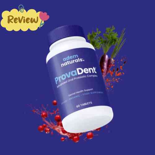 ProvaDent Review