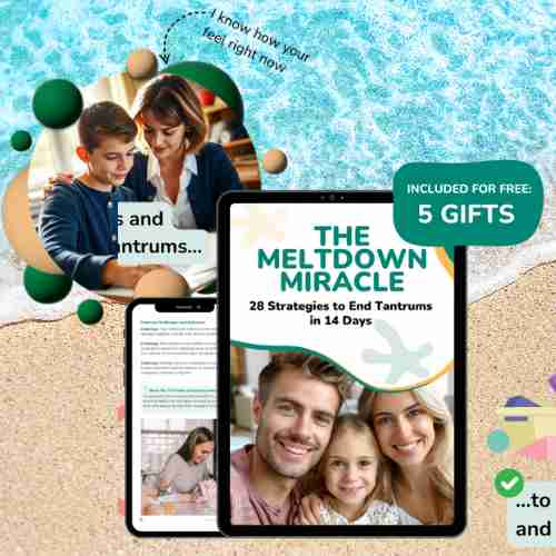 The Meltdown Miracle Review