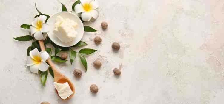 Fresh Fruit with Nut Butter