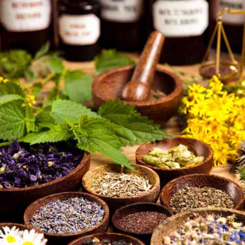 Herbs