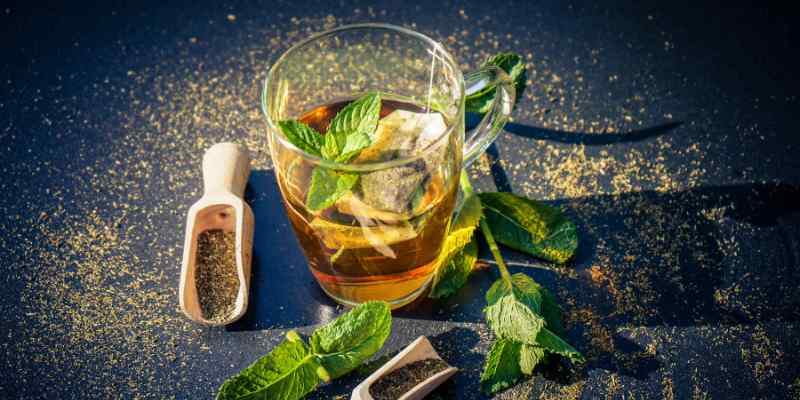 Peppermint and Tea Tree Blend