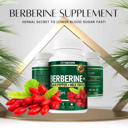 Berberine Supplement Review