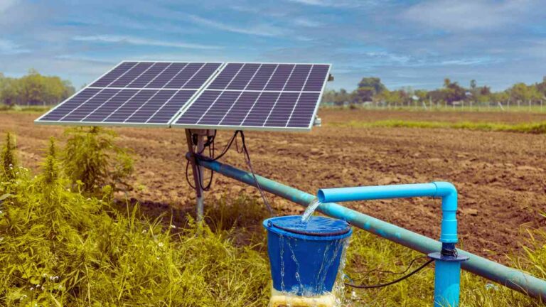 DIY Solar Still Water System for Off-Grid Emergencies